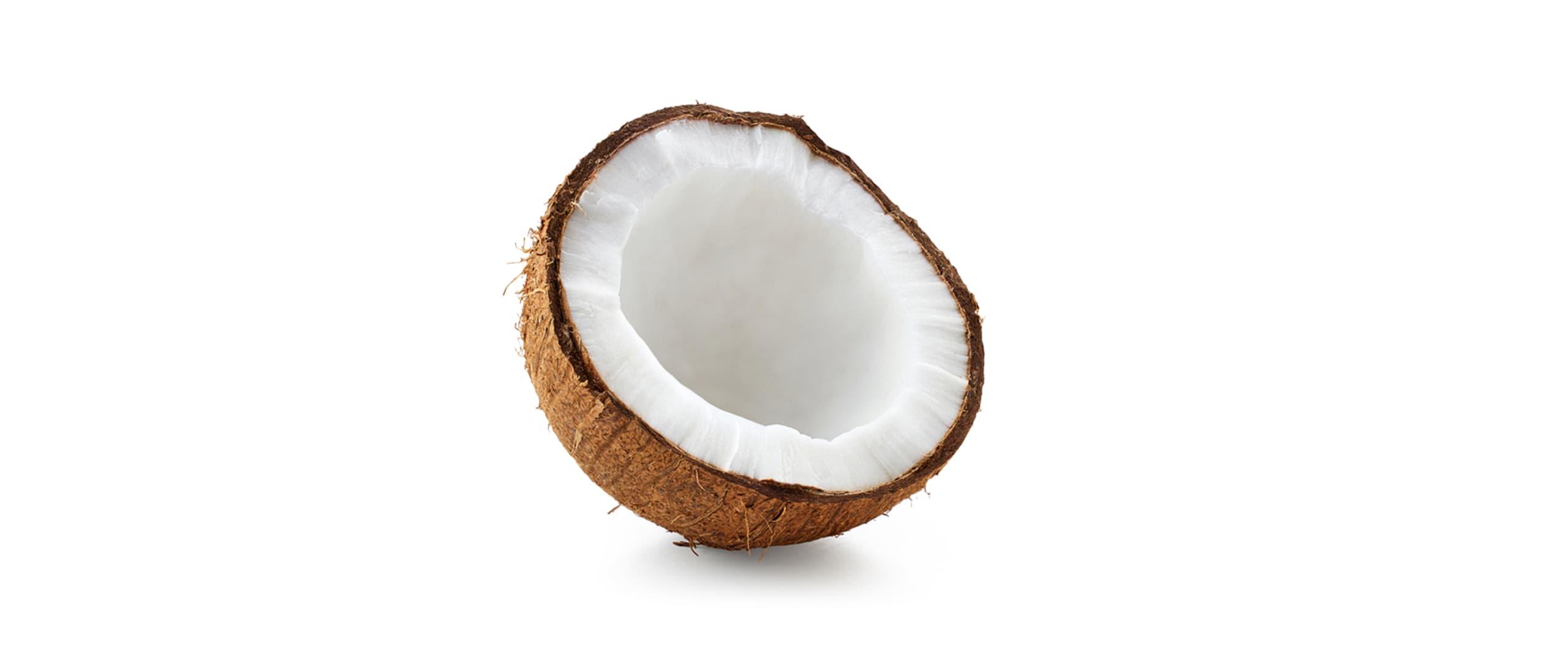 Kokosnuss