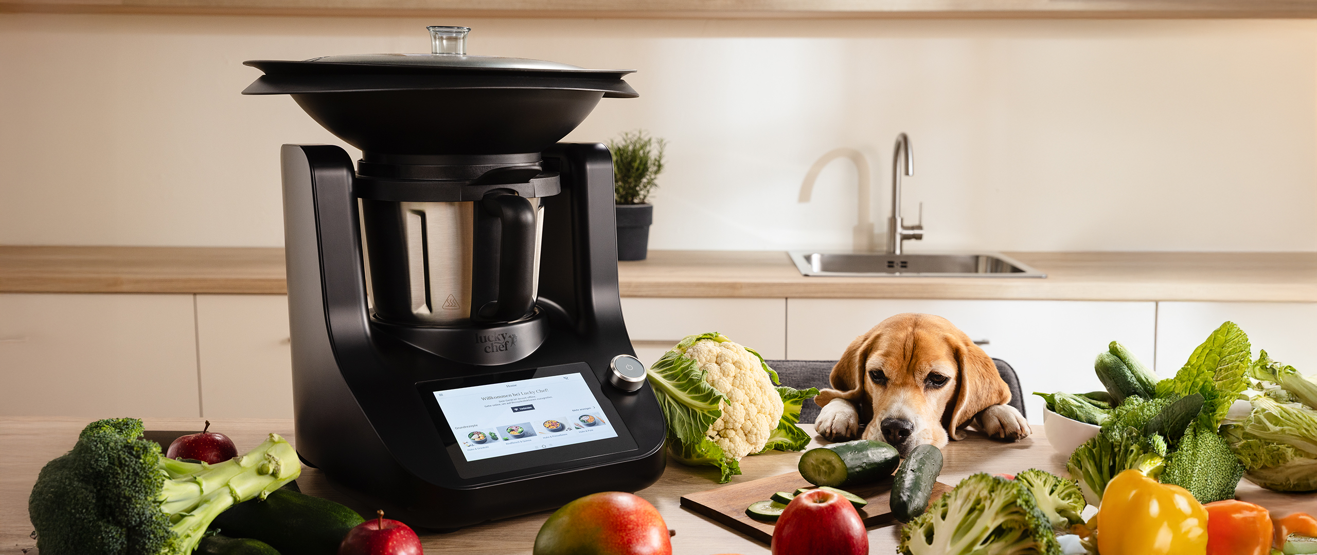 CookA Küchenmaschine zum Hundefutter selber kochen, mit frischem Gemüse und neugierigem Hund in moderner Küche