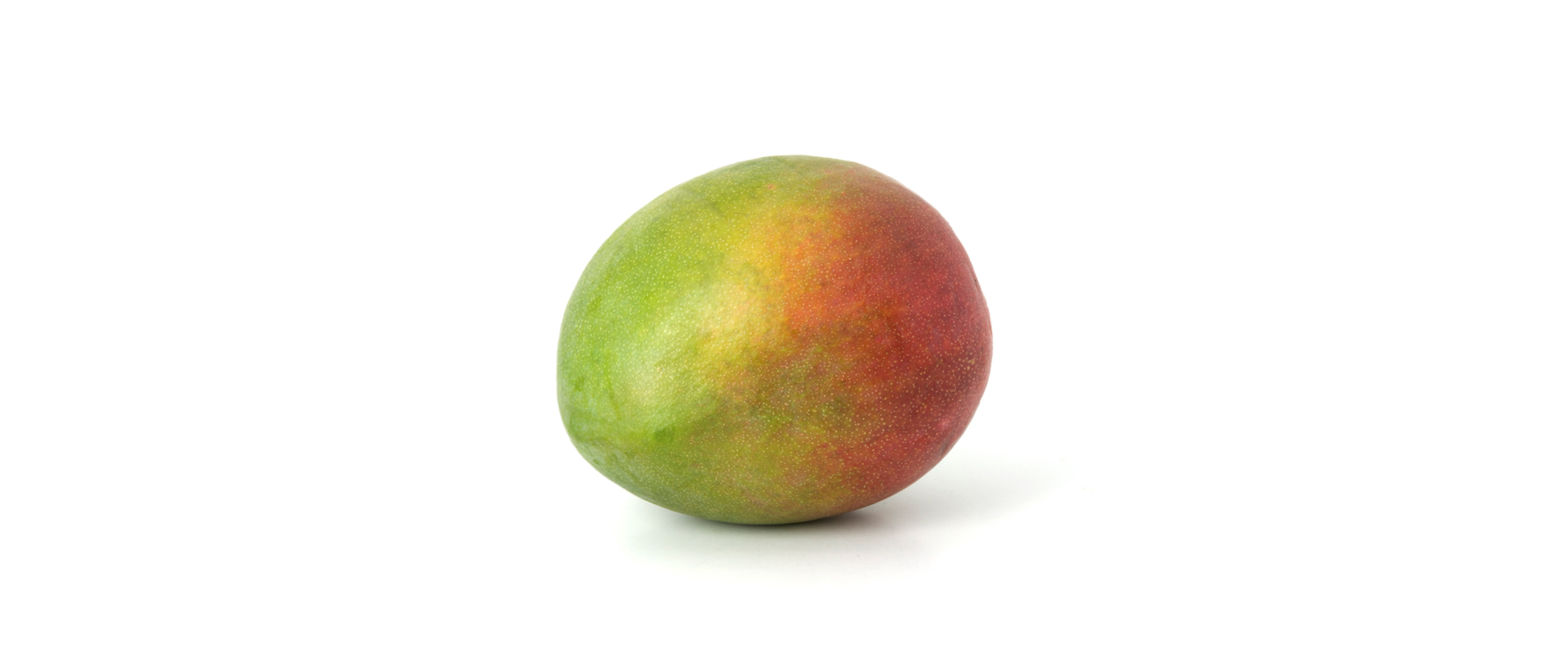 Reife Mango – tropische Frucht, in Maßen auch für Hunde geeignet