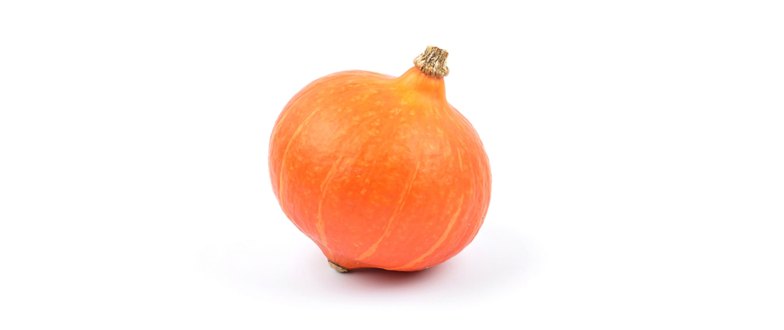Kürbis