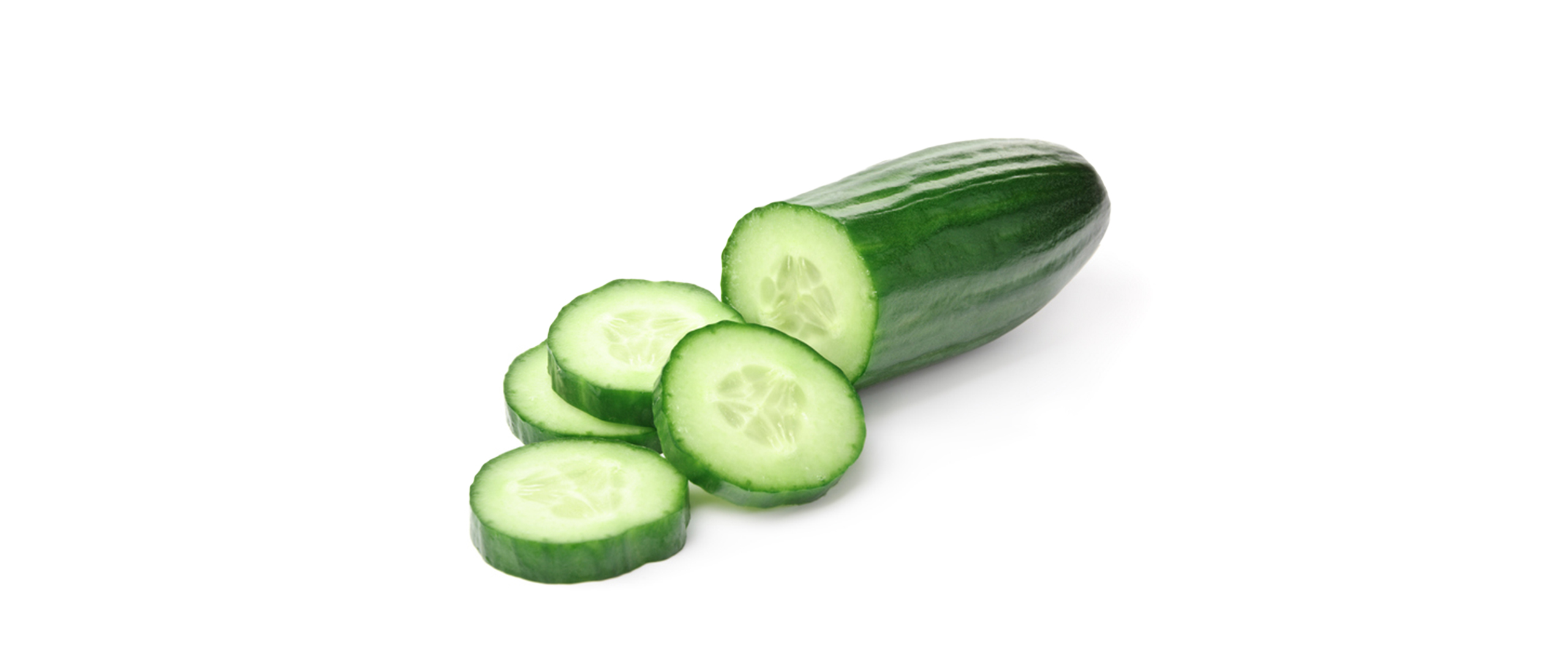 Frische Gurke in Scheiben – leichtes Gemüse für Hunde als Snack
