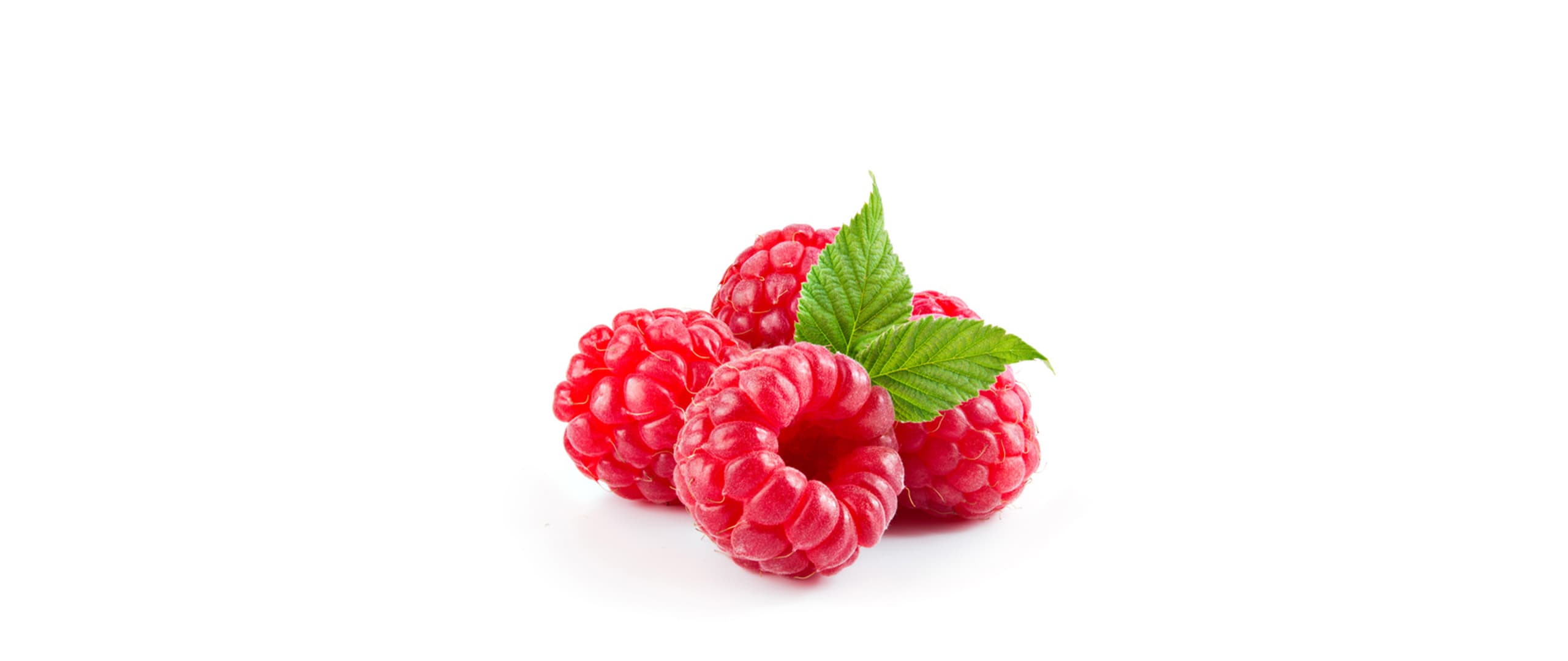 Dürfen Hunde Himbeeren essen? Vorteile & Mengenempfehlung Frische Himbeeren mit Blatt – reich an Antioxidantien und in kleinen Mengen für Hunde geeignet
