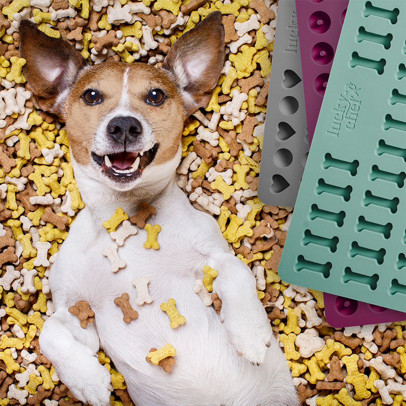 Glücklicher Hund liegt auf einem Haufen selbstgebackener Hundekekse mit LuckyChef Backmatten in Herz-, Kugel- und Knochenform