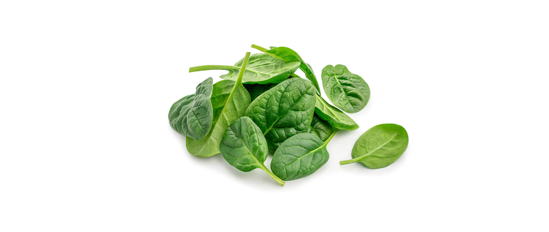 Dürfen Hunde Spinat essen? | LuckyChef Frischer Spinat als gesunde Zutat für Hunde