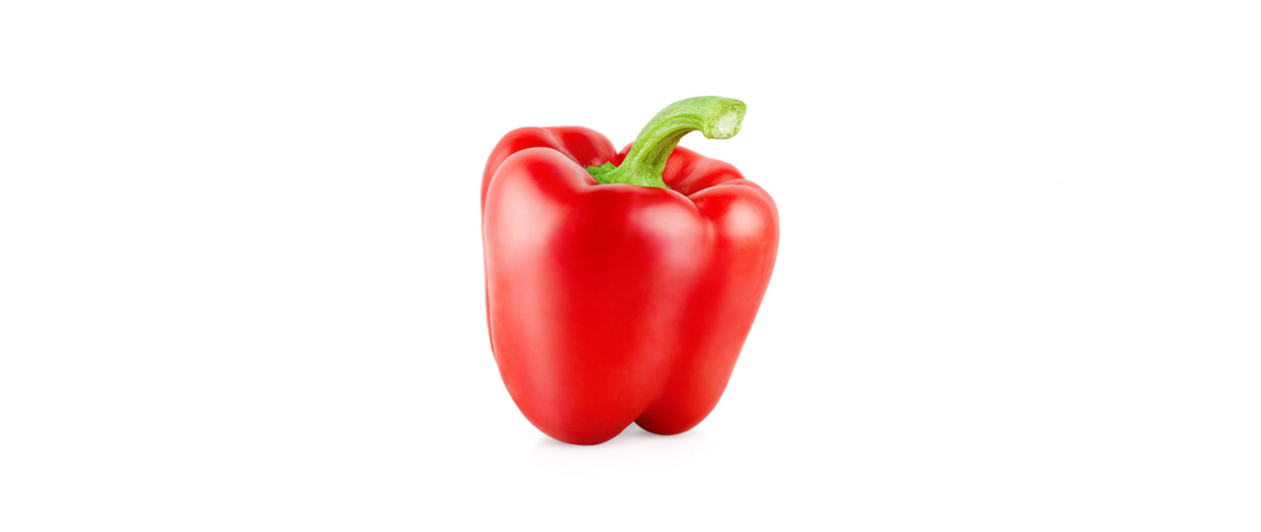 Rote Paprika – reich an Vitaminen, für Hunde nur in kleinen Mengen geeignet