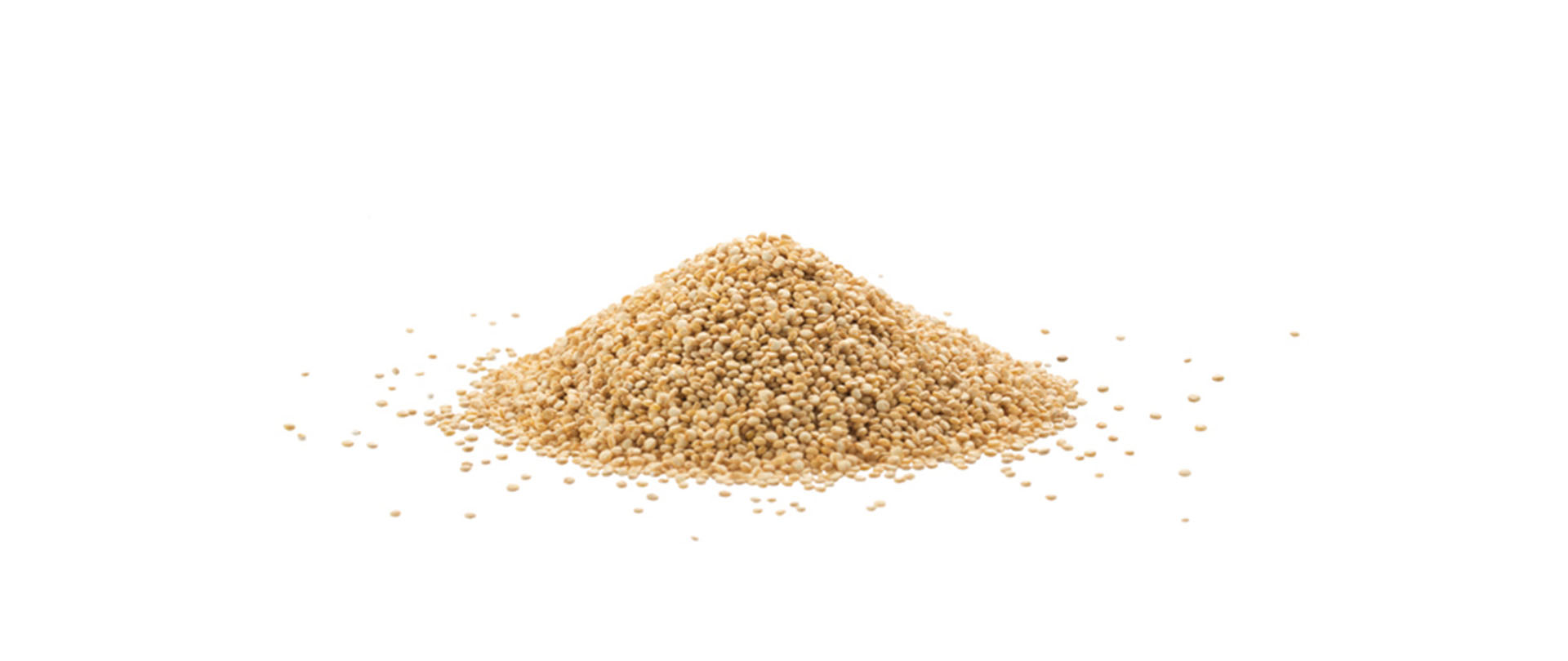Gekochte Quinoa als glutenfreie Beilage für Hunde  