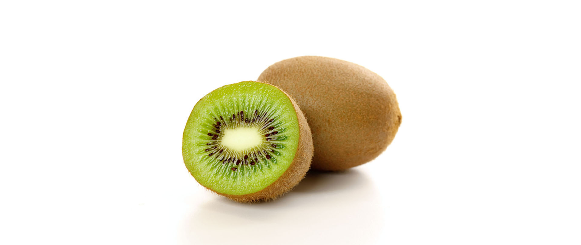 Aufgeschnittene Kiwi mit grünem Fruchtfleisch – reich an Vitaminen und Ballaststoffen, in kleinen Mengen auch für Hunde geeignet